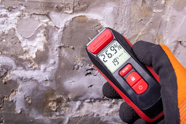 Mold Removal and Inspection in Kernersville, NC
