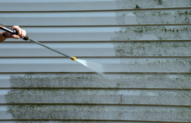 Best Mold Damage Repair  in Kernersville, NC